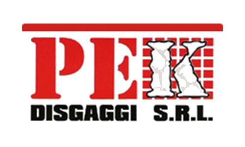 Pek Disgaggi